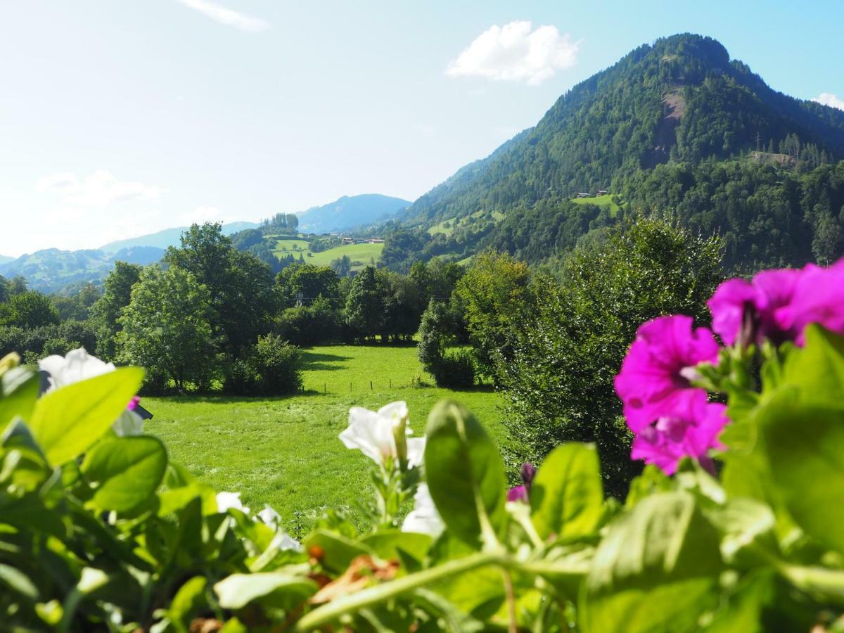 Rohrmoser Appartements Sankt Johann im Pongau Kültér fotó